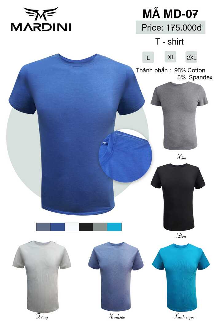 Áo T-shirt nam đẹp
