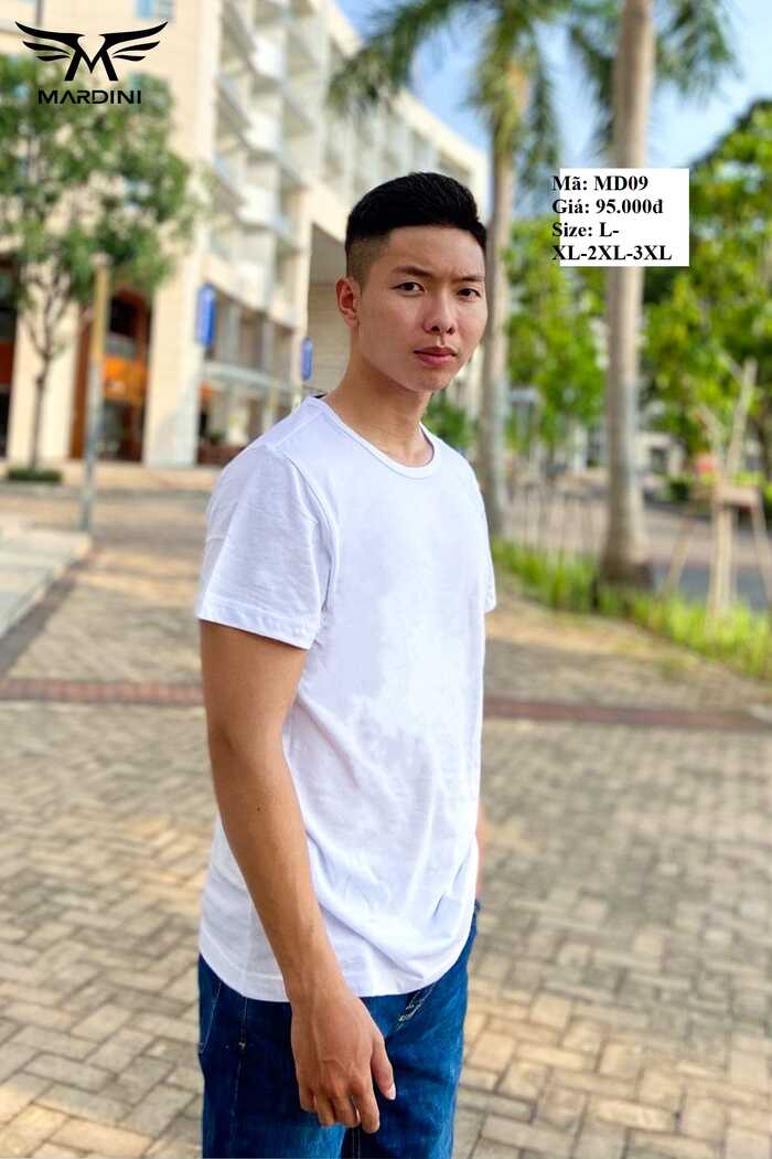 Áo T-shirt nam